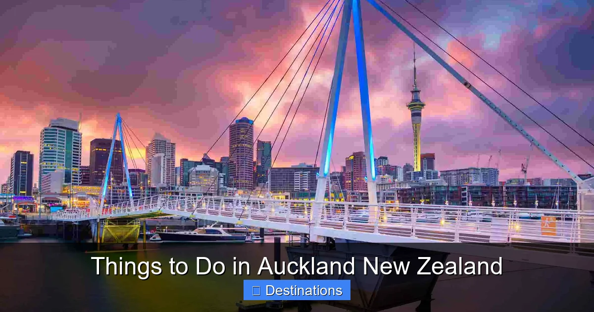 Things to Do in Auckland New Zealand