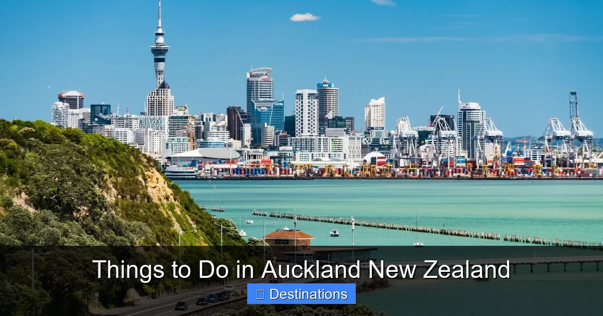 Things to Do in Auckland New Zealand
