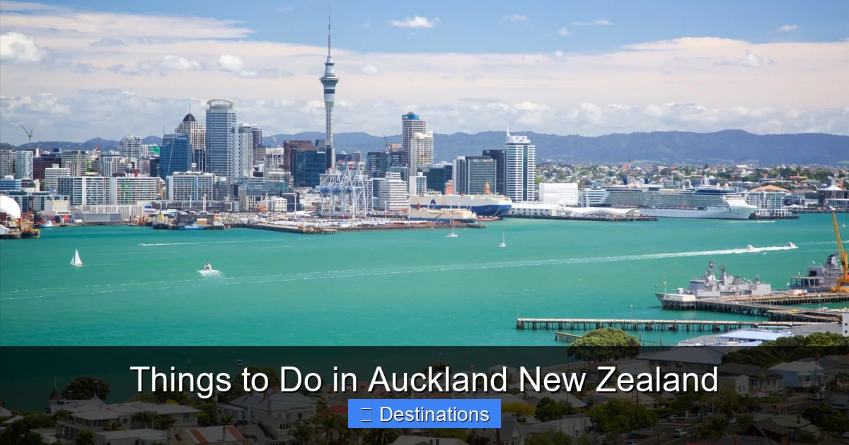 Things to Do in Auckland New Zealand