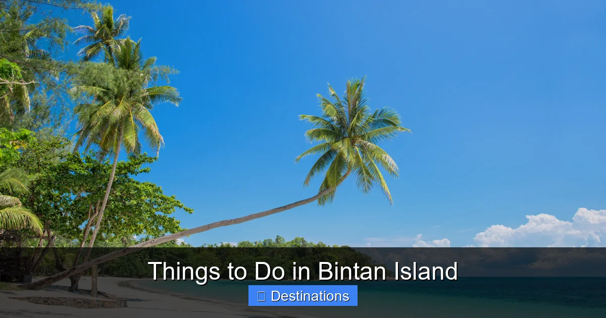 Things to Do in Bintan Island