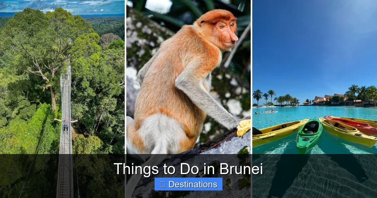 Things to Do in Brunei
