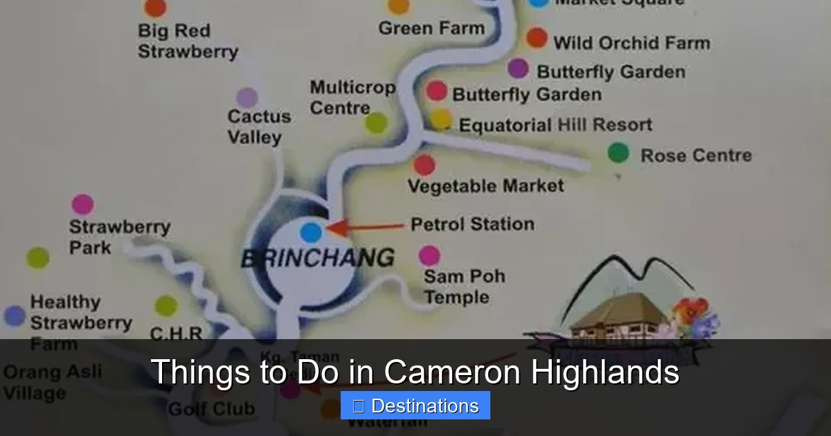Things to Do in Cameron Highlands