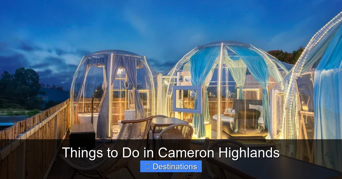 Things to Do in Cameron Highlands