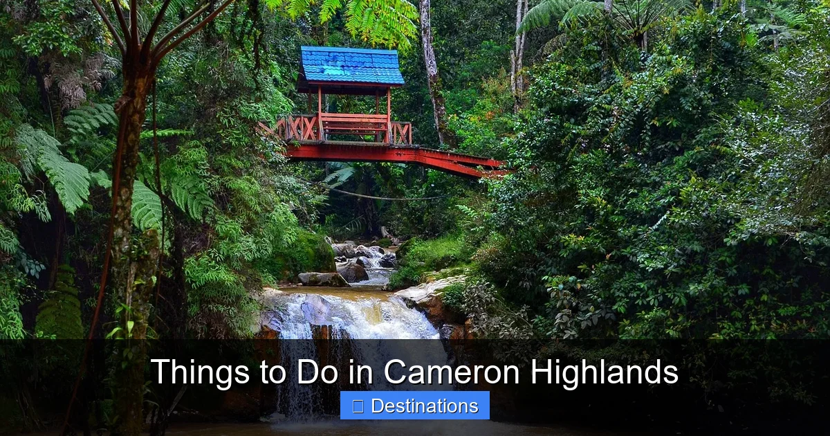 Things to Do in Cameron Highlands