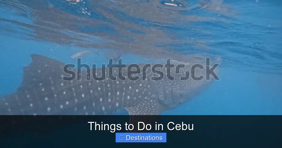 Things to Do in Cebu