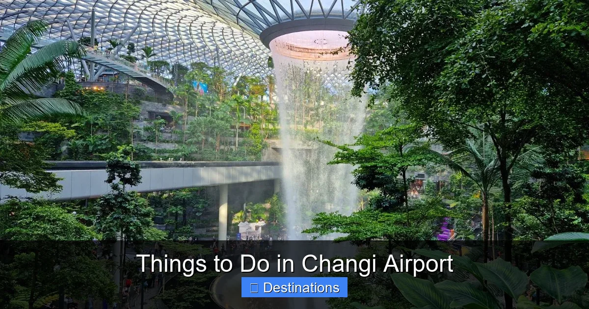 Things to Do in Changi Airport