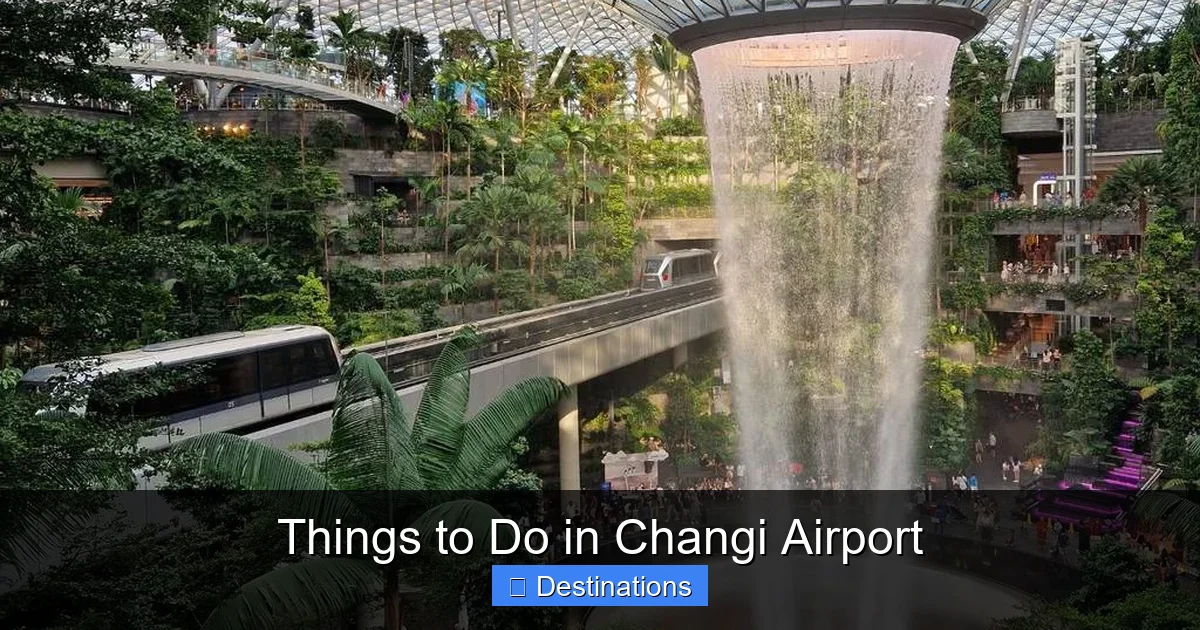 Things to Do in Changi Airport