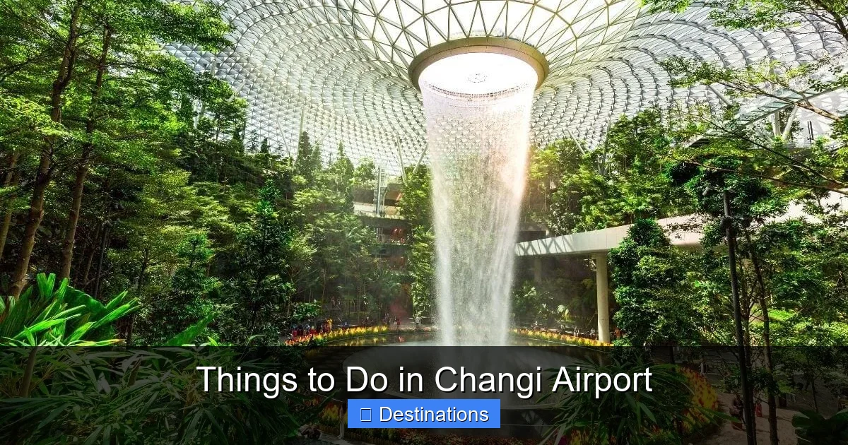 Things to Do in Changi Airport