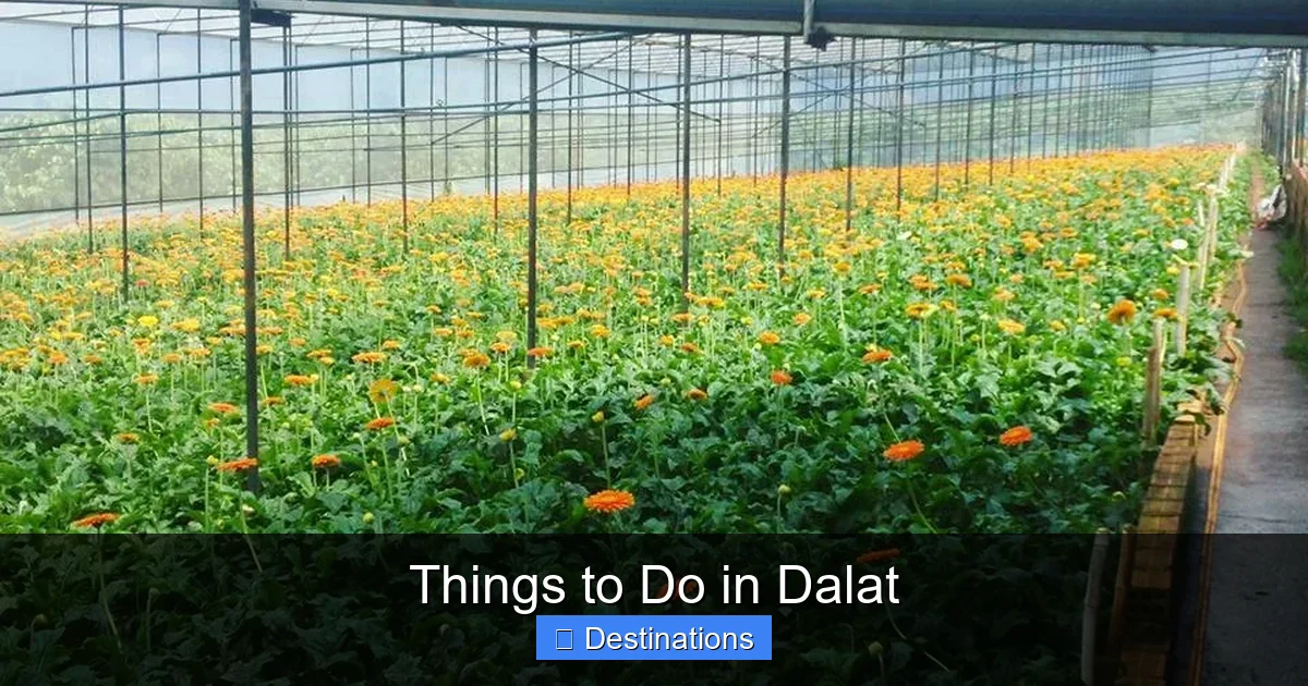 Things to Do in Dalat