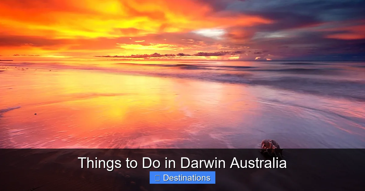 Things to Do in Darwin Australia