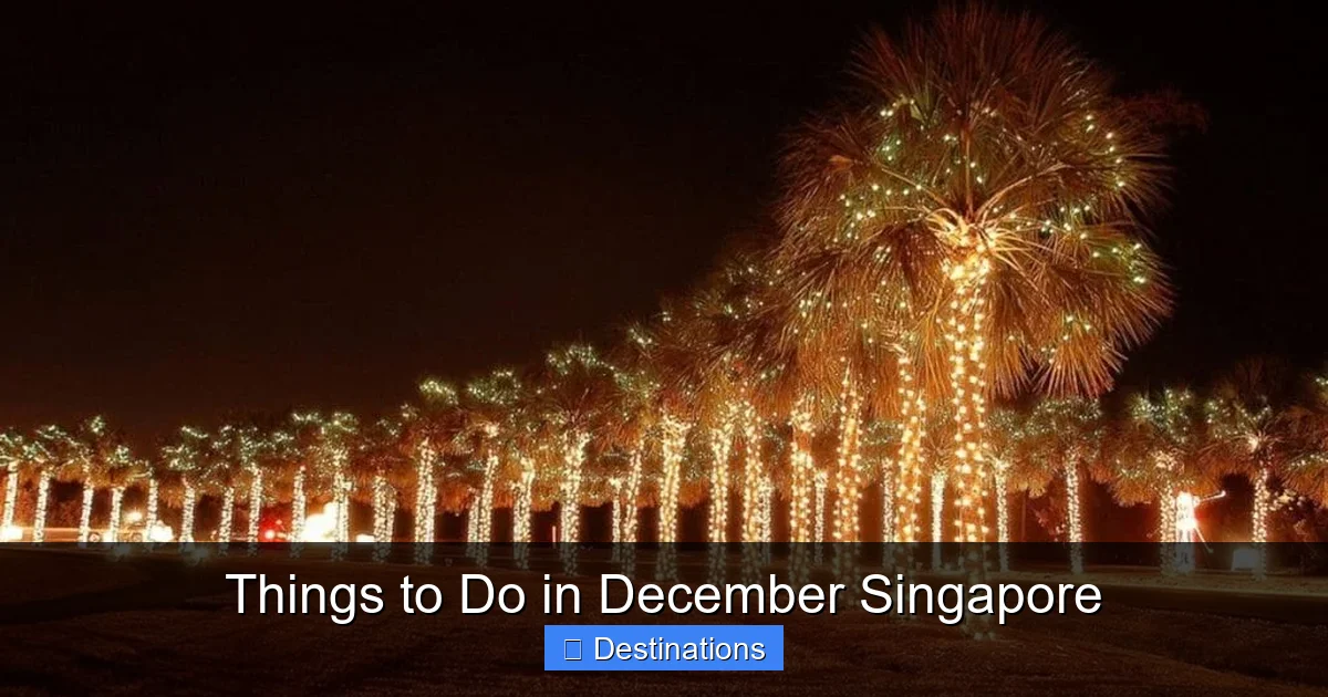 Things to Do in December Singapore