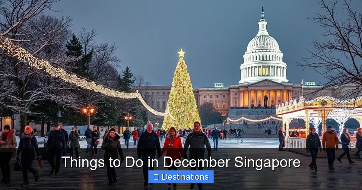 Things to Do in December Singapore