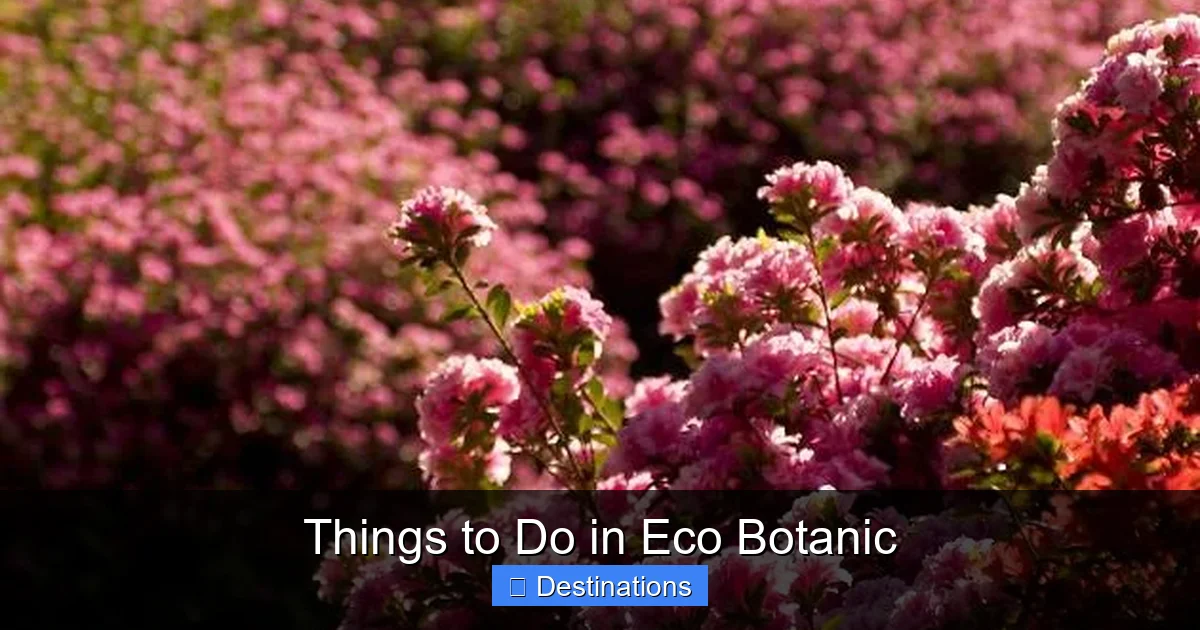 Things to Do in Eco Botanic