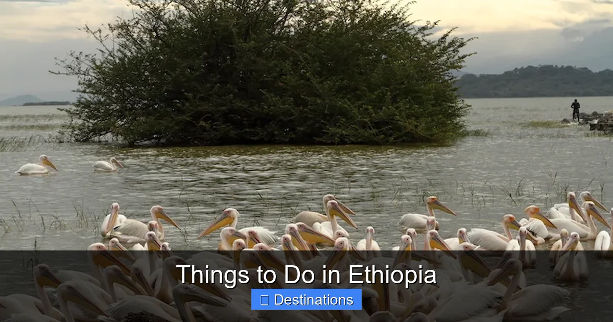 Things to Do in Ethiopia