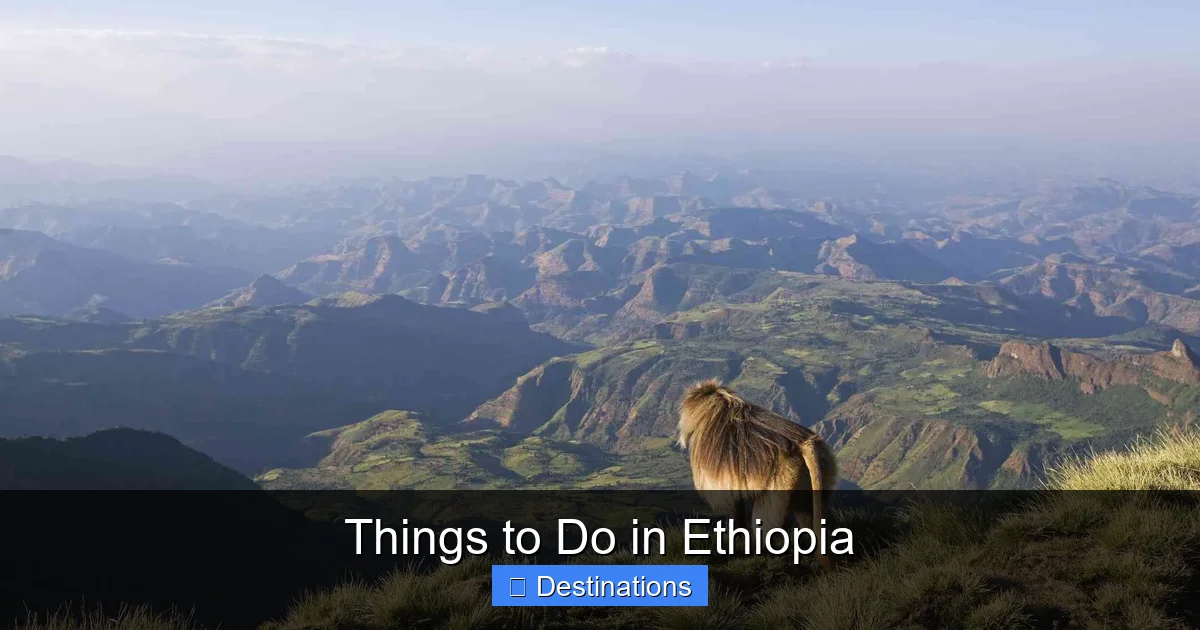 Things to Do in Ethiopia