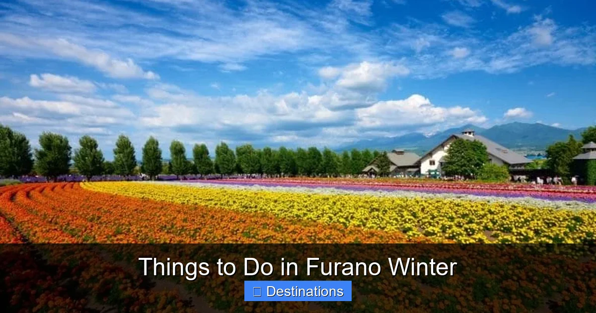 Things to Do in Furano Winter