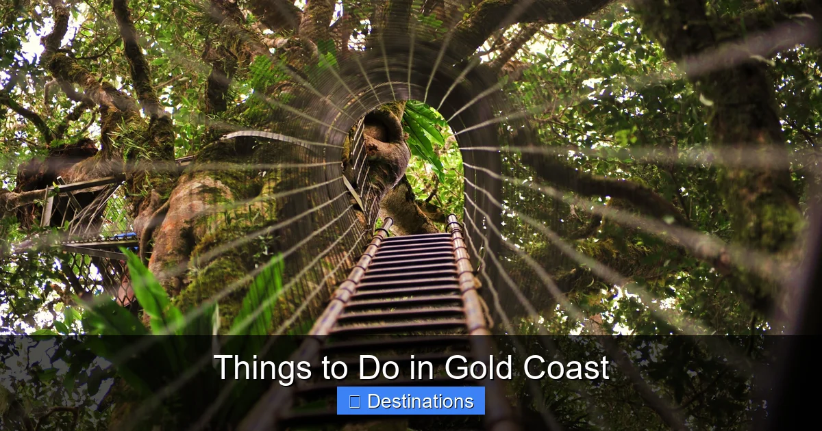 Things to Do in Gold Coast