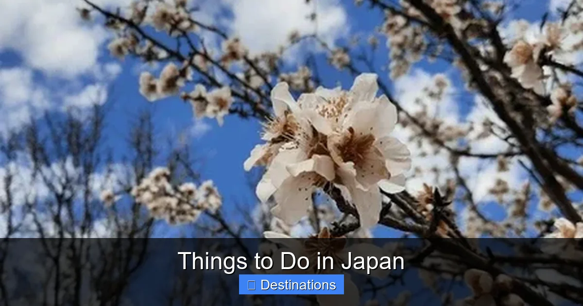 Things to Do in Japan