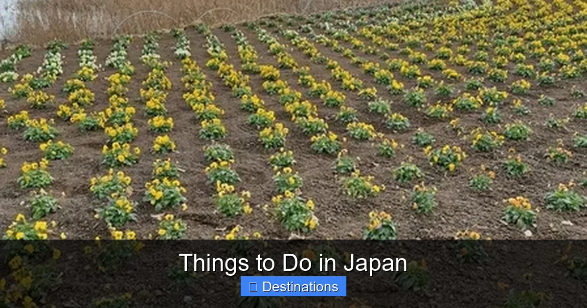 Things to Do in Japan