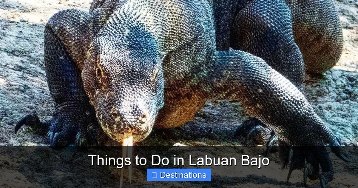 Things to Do in Labuan Bajo