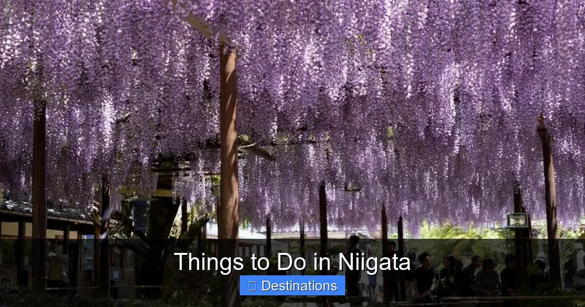 Things to Do in Niigata
