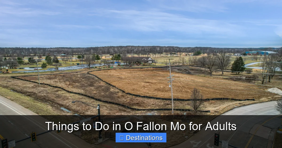 Things to Do in O Fallon Mo for Adults