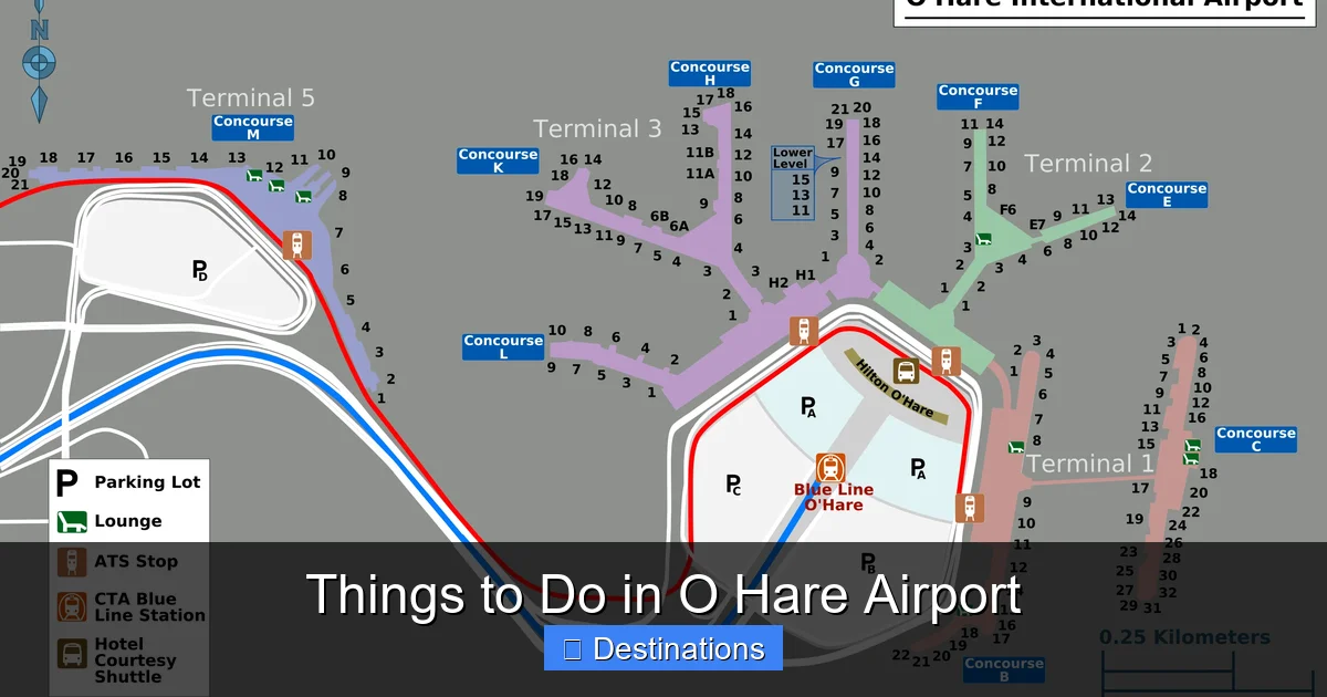 Things to Do in O Hare Airport