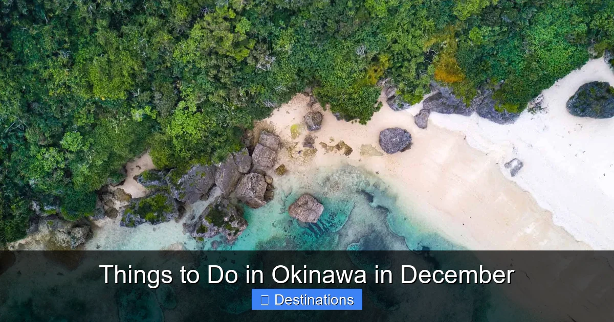 Things to Do in Okinawa in December