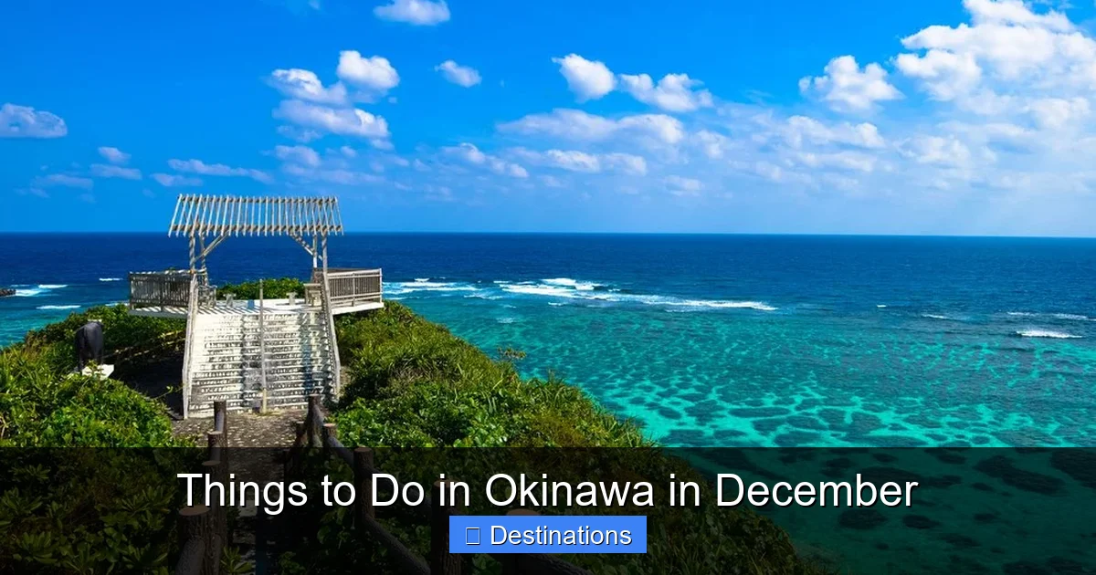 Things to Do in Okinawa in December