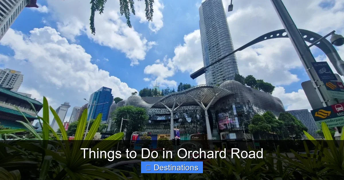 Things to Do in Orchard Road