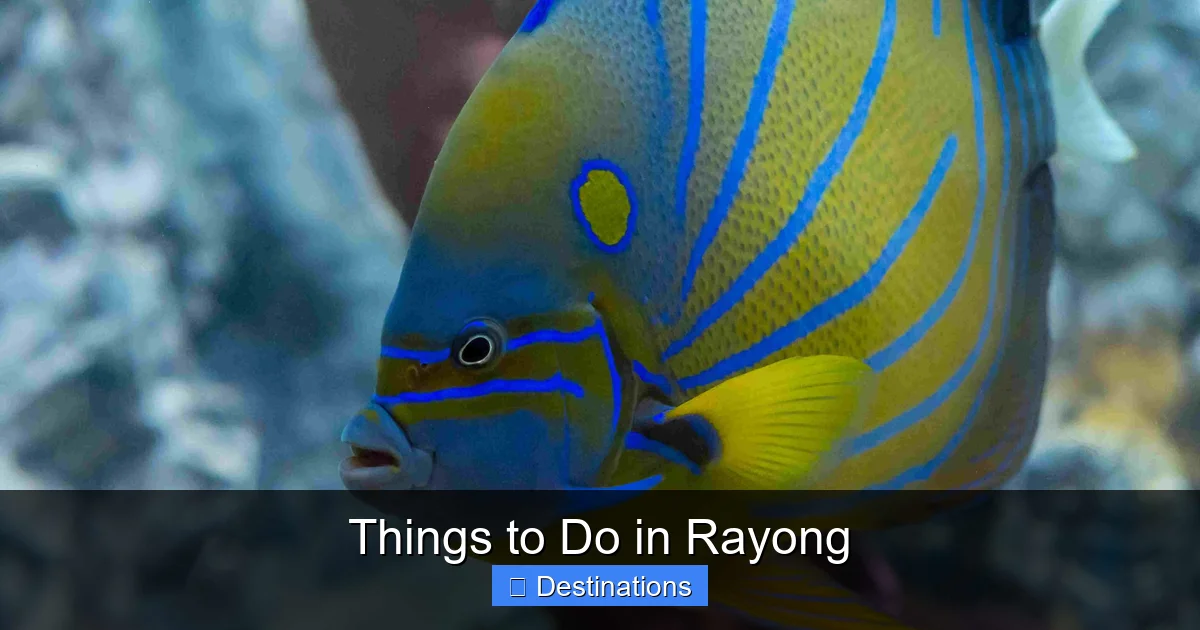 Things to Do in Rayong