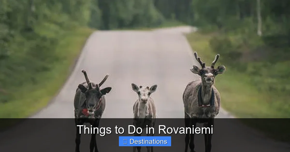 Things to Do in Rovaniemi