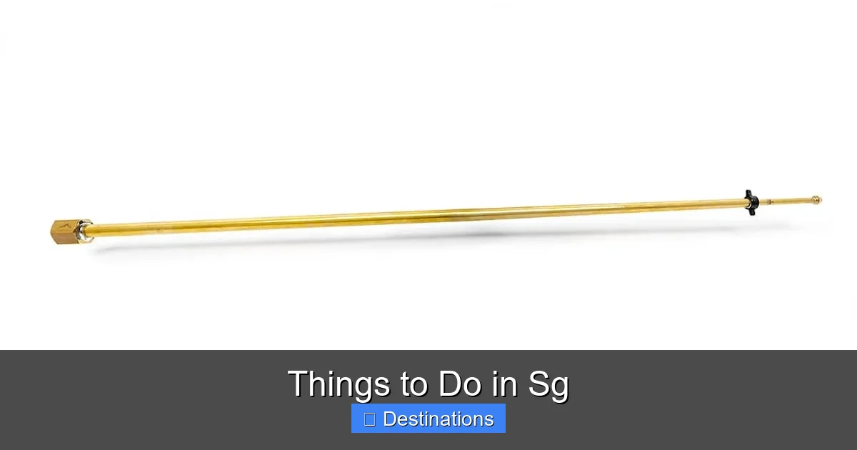 Things to Do in Sg