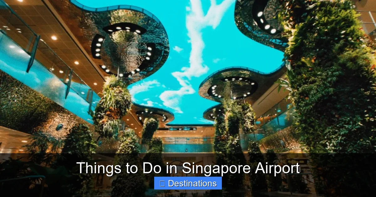 Things to Do in Singapore Airport