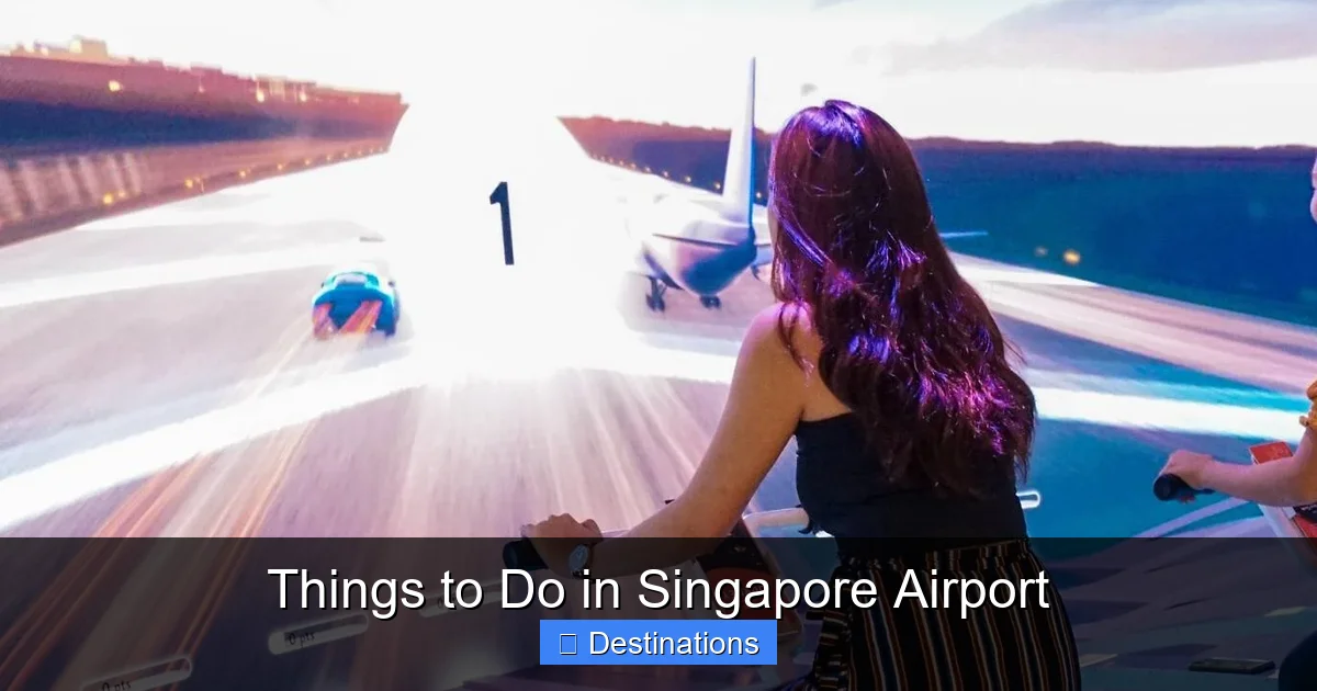 Things to Do in Singapore Airport