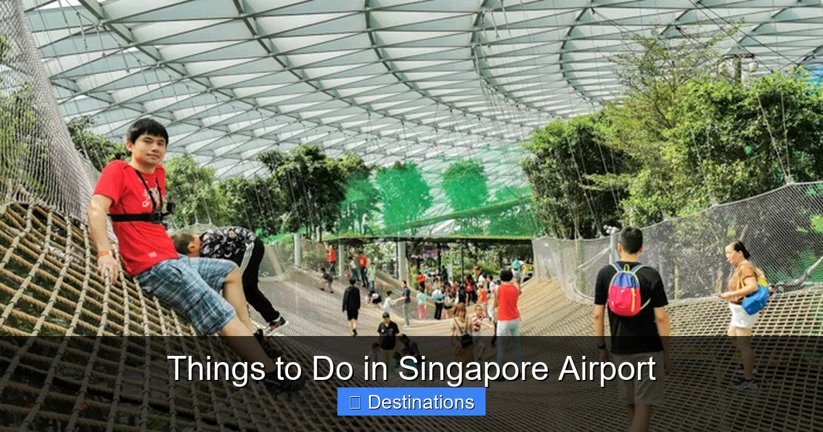 Things to Do in Singapore Airport