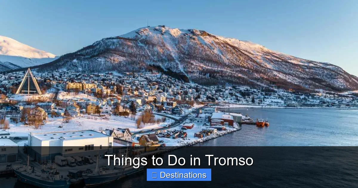 Things to Do in Tromso