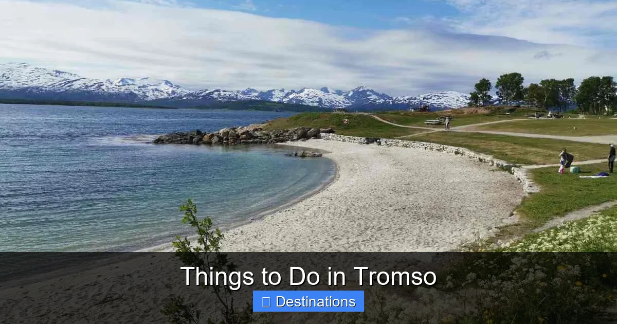 Things to Do in Tromso