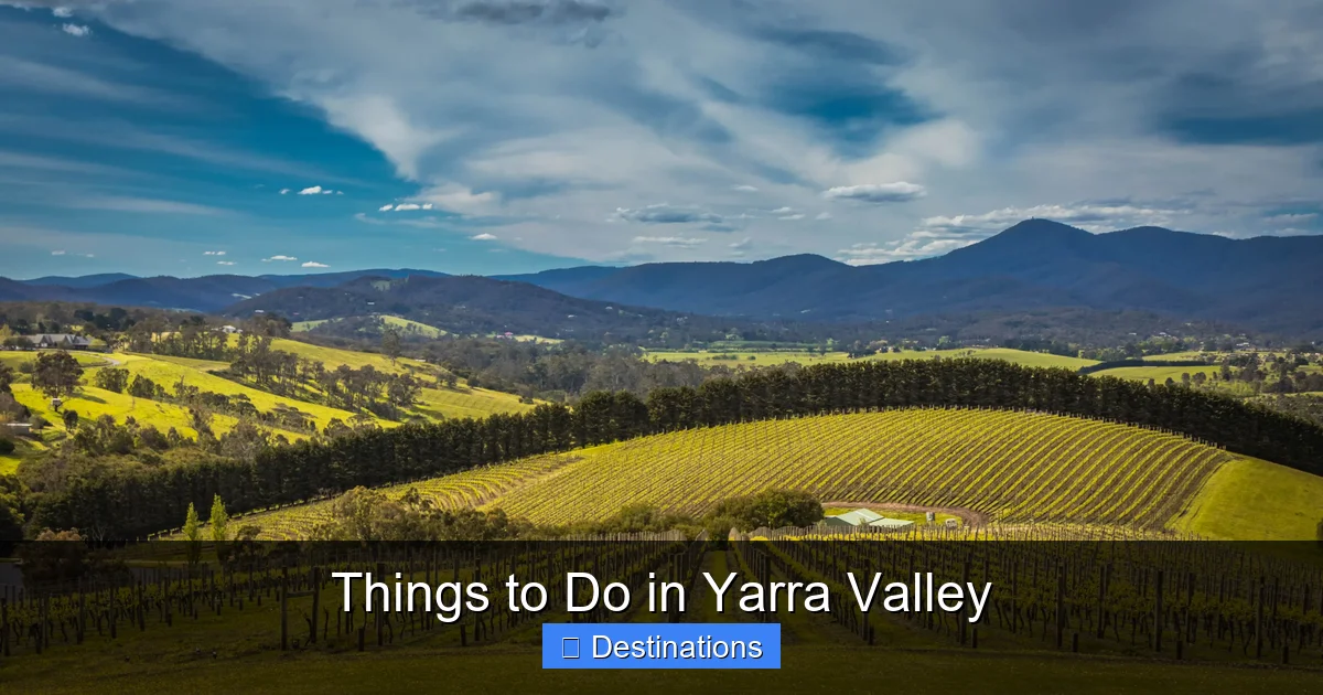 Things to Do in Yarra Valley