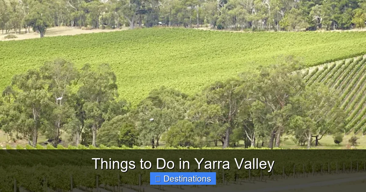 Things to Do in Yarra Valley
