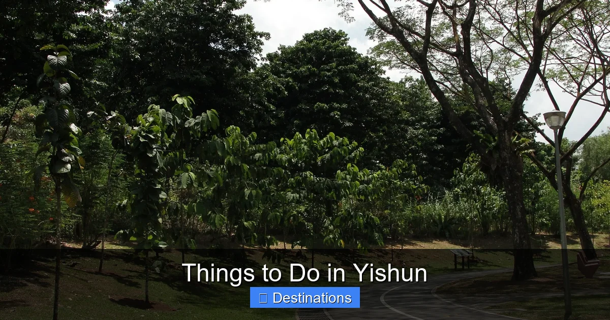 Things to Do in Yishun