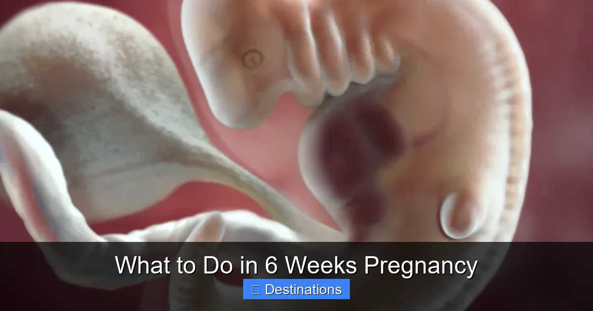 What to Do in 6 Weeks Pregnancy