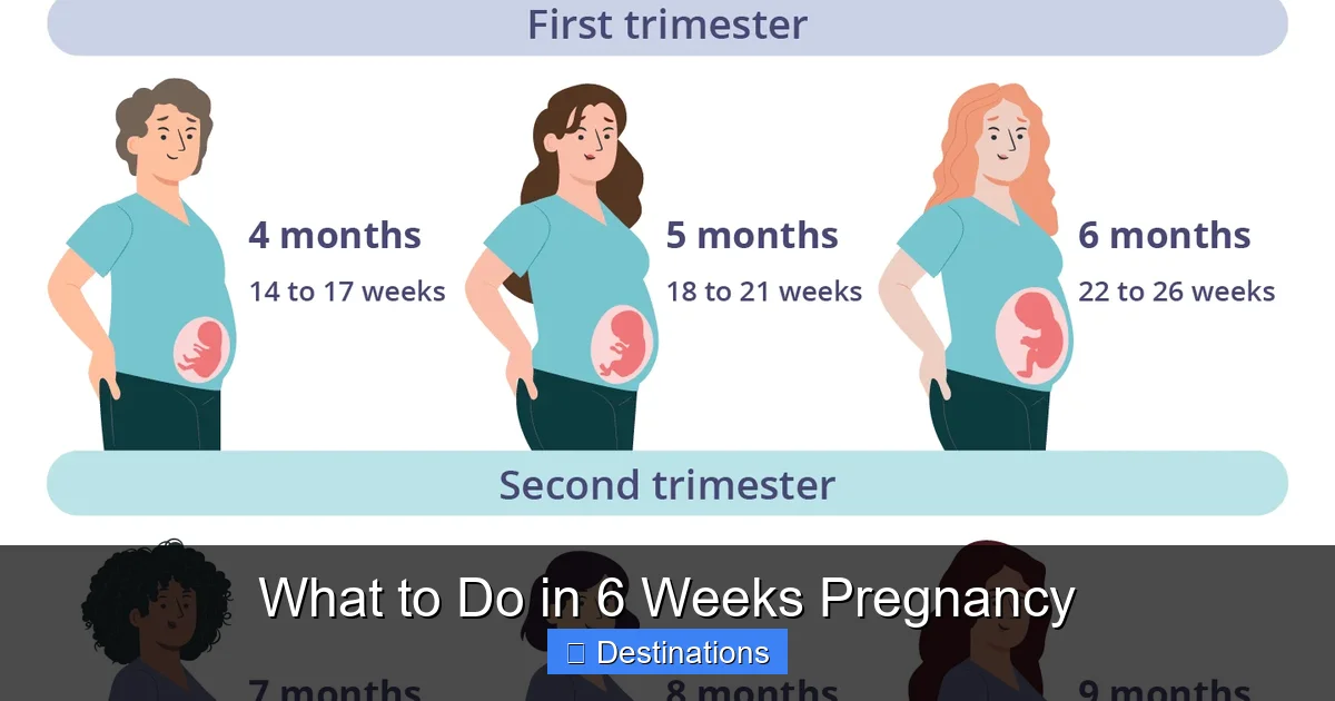 What to Do in 6 Weeks Pregnancy