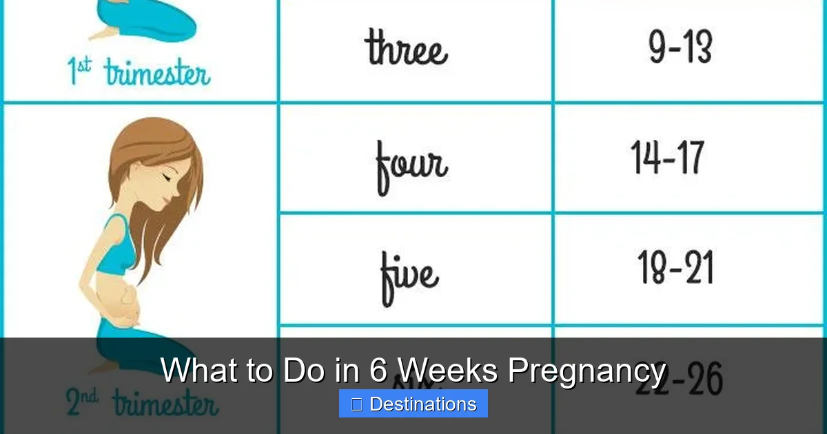 What to Do in 6 Weeks Pregnancy
