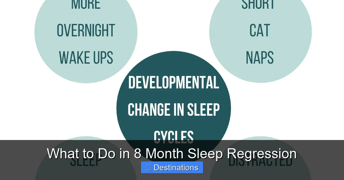 What to Do in 8 Month Sleep Regression