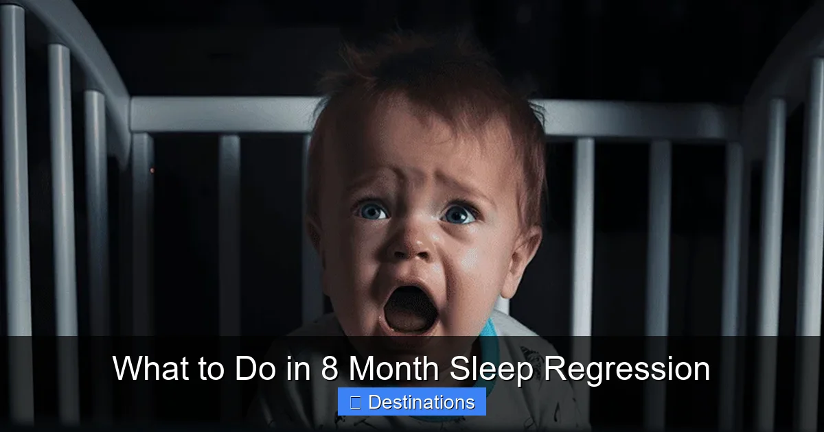What to Do in 8 Month Sleep Regression