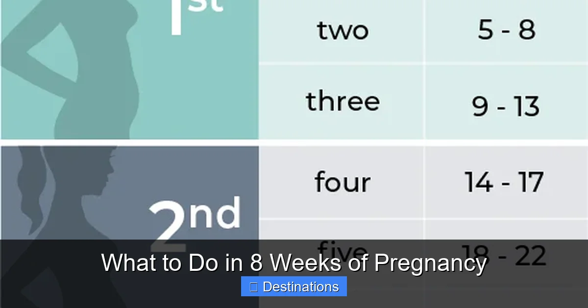 What to Do in 8 Weeks of Pregnancy
