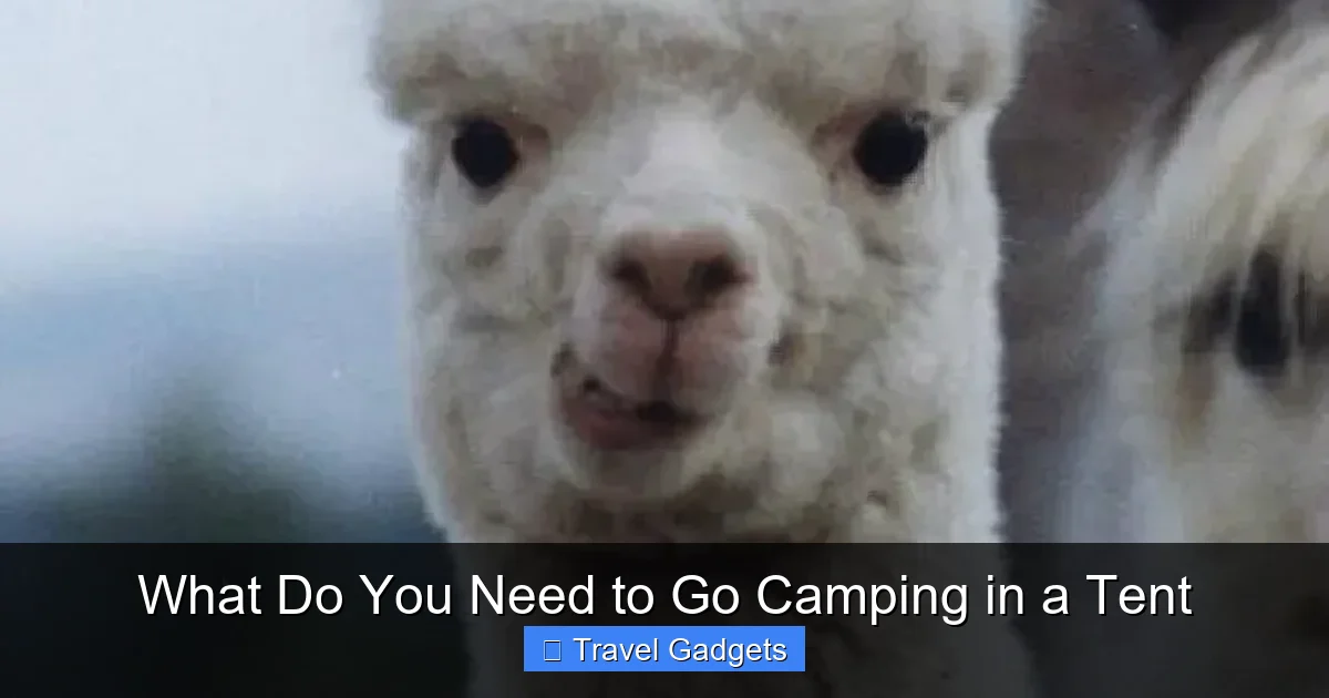 What Do You Need to Go Camping in a Tent