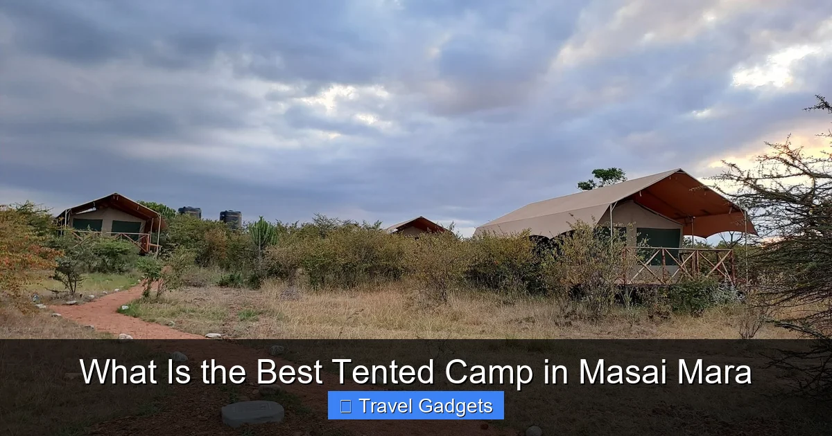What Is the Best Tented Camp in Masai Mara