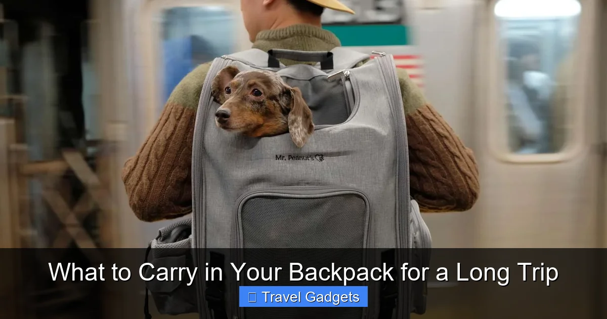 What to Carry in Your Backpack for a Long Trip